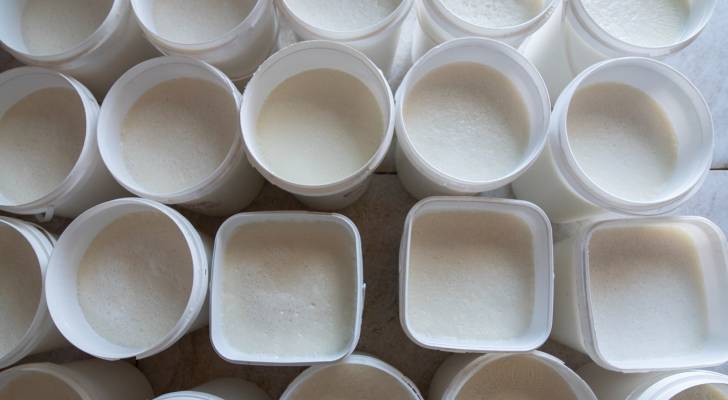 ضبط 2 طن من اللبنة الفاسدة في إربد وفق مصدر أمني لرؤيا أخبار