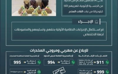 ضبط 4 مهربين في عسير أثناء تهريب 60 كيلوغرامًا من نبات القات