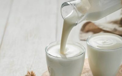 ضبط لبن رايب مجهول المصدر في إربد وفق توضيح الغذاء والدواء