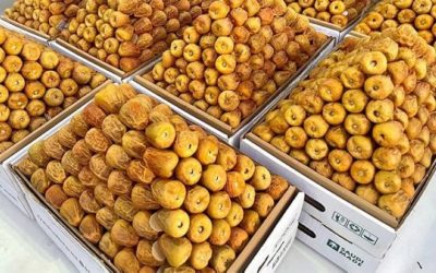 مبيعات التمور تصل إلى 106 ملايين وحدة في السوق المحلي والعالمي.
