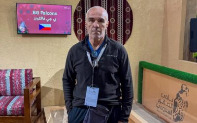 مزرعة صقور تشيكية تحقق مبيعات كاملة في 5 أيام بالمزاد الدولي