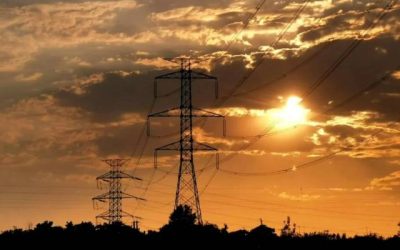 موجة حر غير مسبوقة تحذر منها خبير إدارة الأزمات وتدعو لتشريعات جديدة.. والإرشاد الزراعي يقدم نصائح للمزارعين