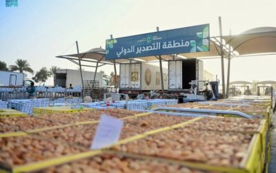 موسم عنيزة الدولي للتمور: نموذج يحتذى به في الاستدامة الزراعية على مستوى العالم.