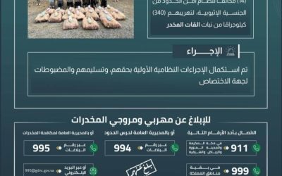 نجاحات حرس الحدود بجازان: القبض على 14 مخالفًا تهريبًا للقات