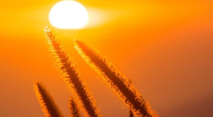 وزير الإدارة المحلية يوجه البلديات للتحضير لمواجهة موجة الحر