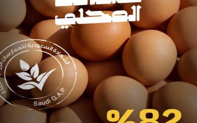 البيئة: 82% من إنتاج بيض المائدة في المملكة معتمد بشهادة سعودي قاب