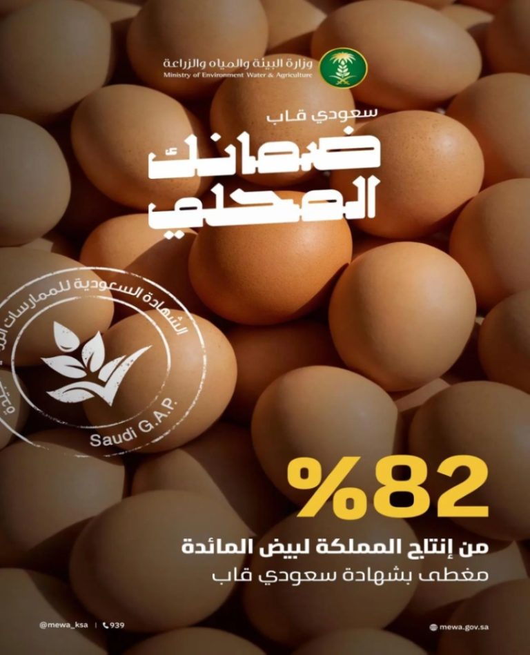 البيئة: 82% من إنتاج بيض المائدة في المملكة معتمد بشهادة سعودي قاب