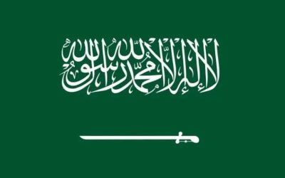 المملكة تتصدر الشرق الأوسط وشمال أفريقيا في جاهزية الحكومات للذكاء الاصطناعي.