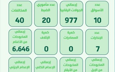 بيئة نجران تنفذ 970 جولة رقابية لتعزيز سلامة الغذاء والحفاظ على الصحة العامة.