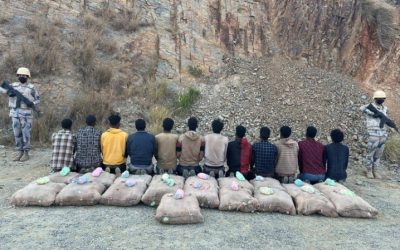حرس الحدود بجازان ينجح في القبض على 12 مخالفًا لتهريب 342 كيلوجرامًا من القات المخدر